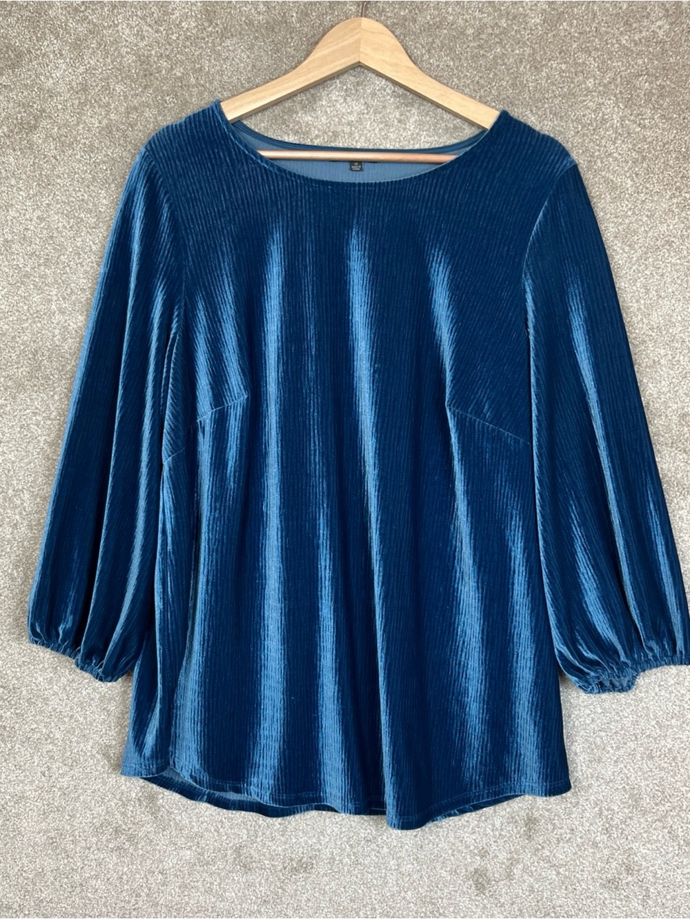 Adrianna Papell Shirt Womens 1X Blue Velour Long Sleeve Stretch Pullover- 5253